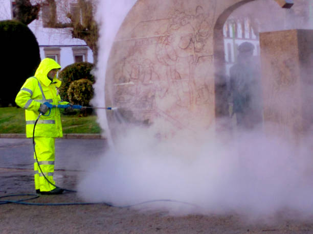 Best Roof Pressure Washing  in Ogden, NC