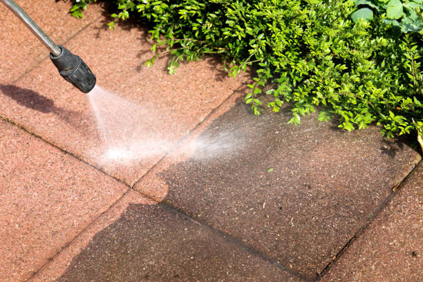 Best Pressure Washing Siding  in Ogden, NC